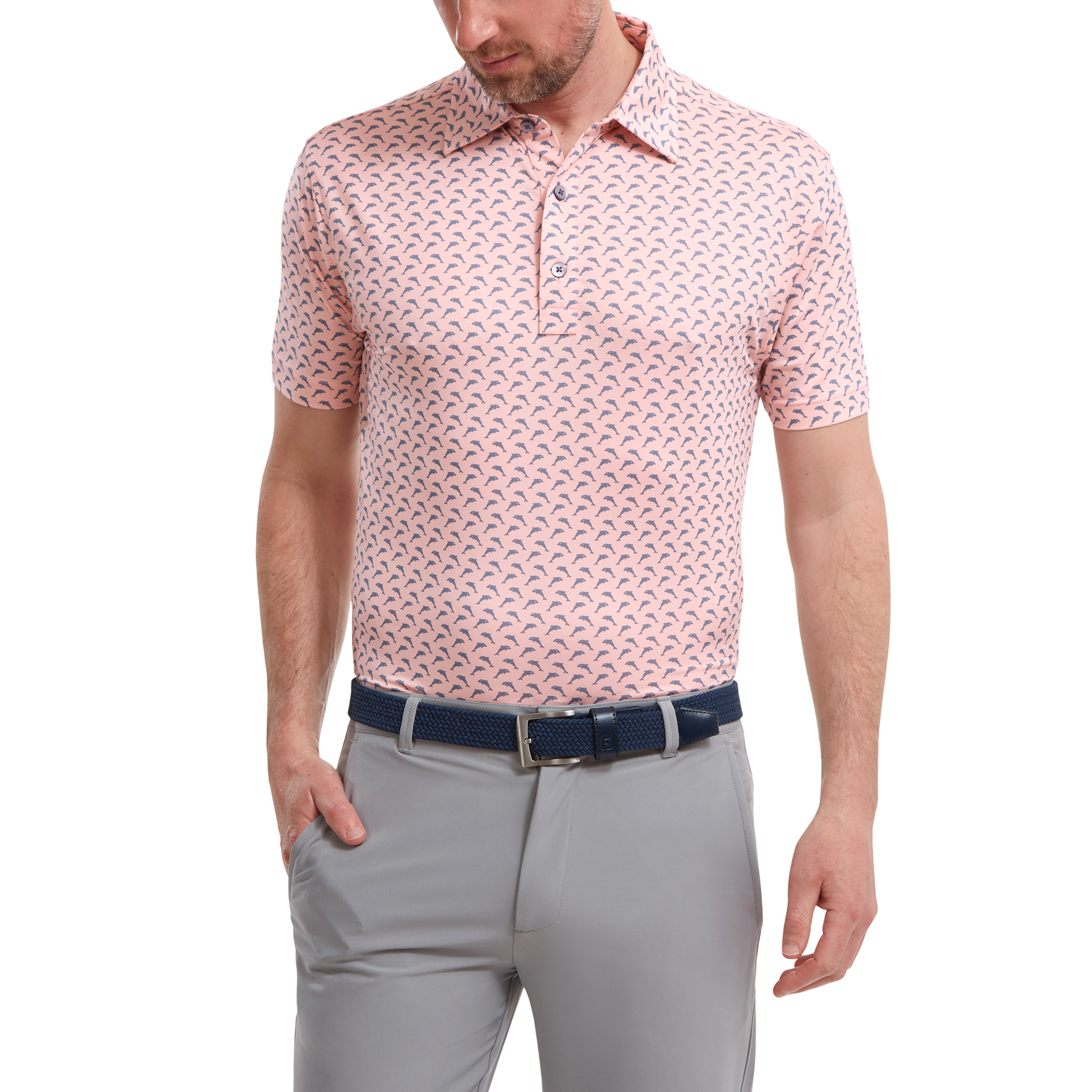 Leaping Dolphins Print Lisle